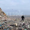 Мусорная реформа провалилась, Экострой-Дон