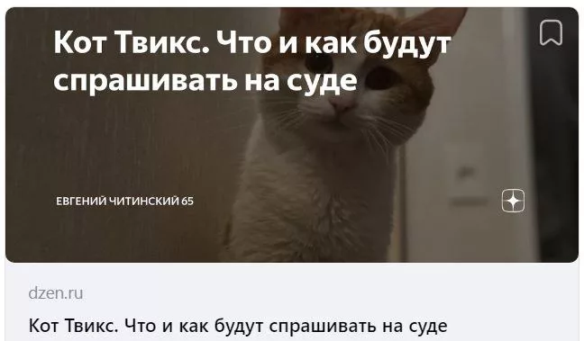 О трагедии кота Твикса