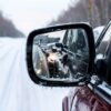 Трасса М4 «Дон» оказалась во власти непогоды