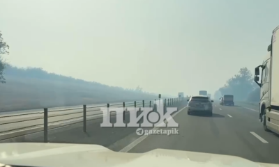 Угроза ландшафтных пожаров на М-4 в Ростовской области