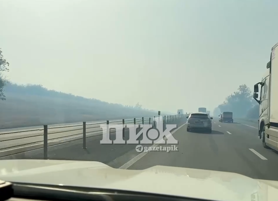 Угроза ландшафтных пожаров на М-4 в Ростовской области