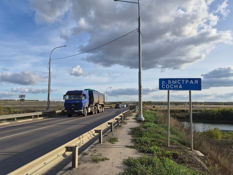 В Ельце перенесли закрытие Лавского моста на М-4 «Дон»